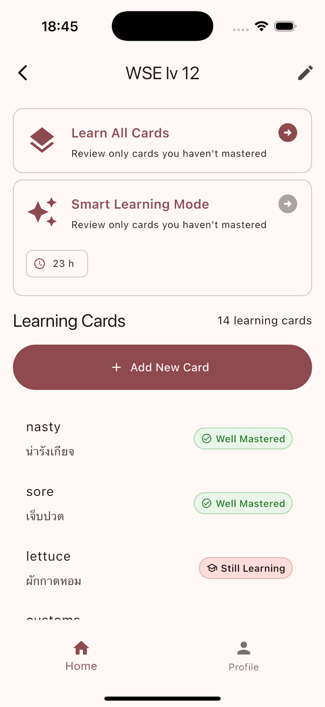 CardMory deck overview on iPhone